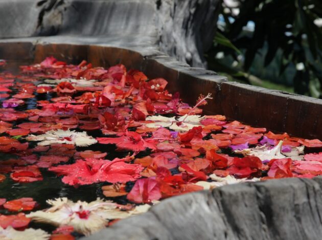 brazil-insolito-rio-de-janeiro-flowers